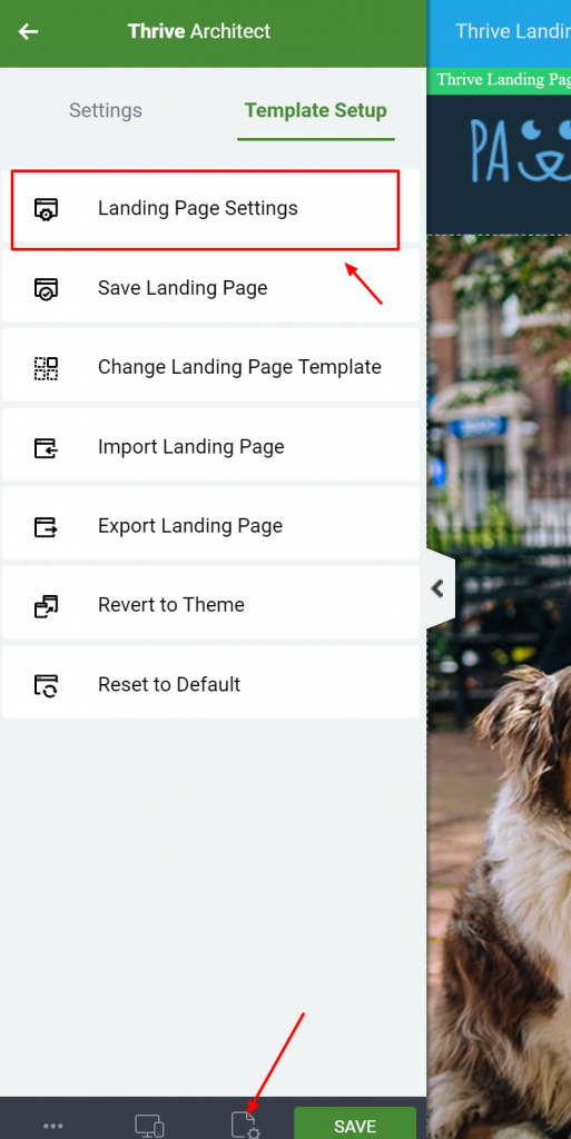 page setup landing page settings