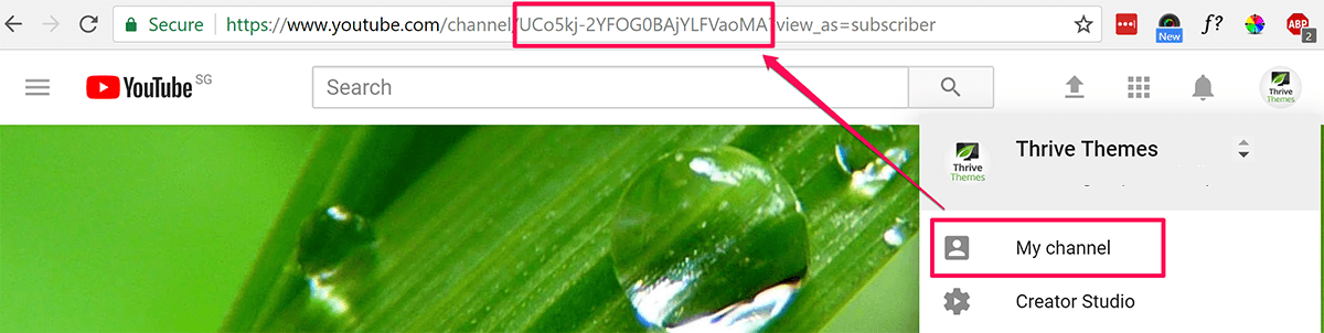 Youtube Channel ID Youtube Channel ID