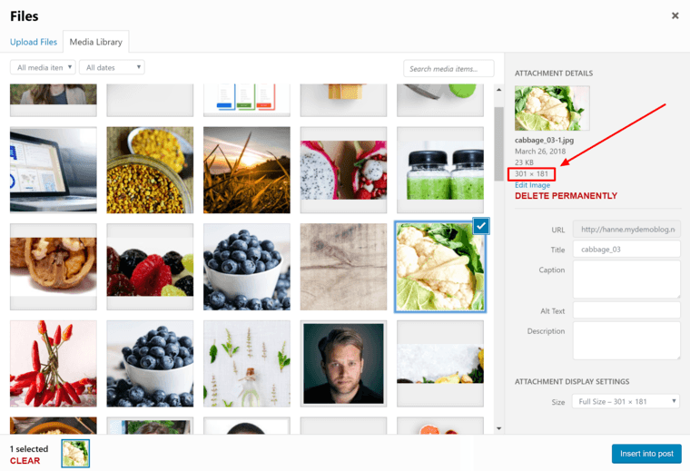 image dimensions wp