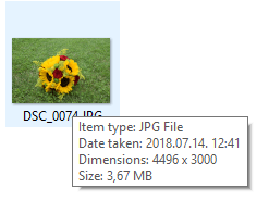 Large Image from Camera