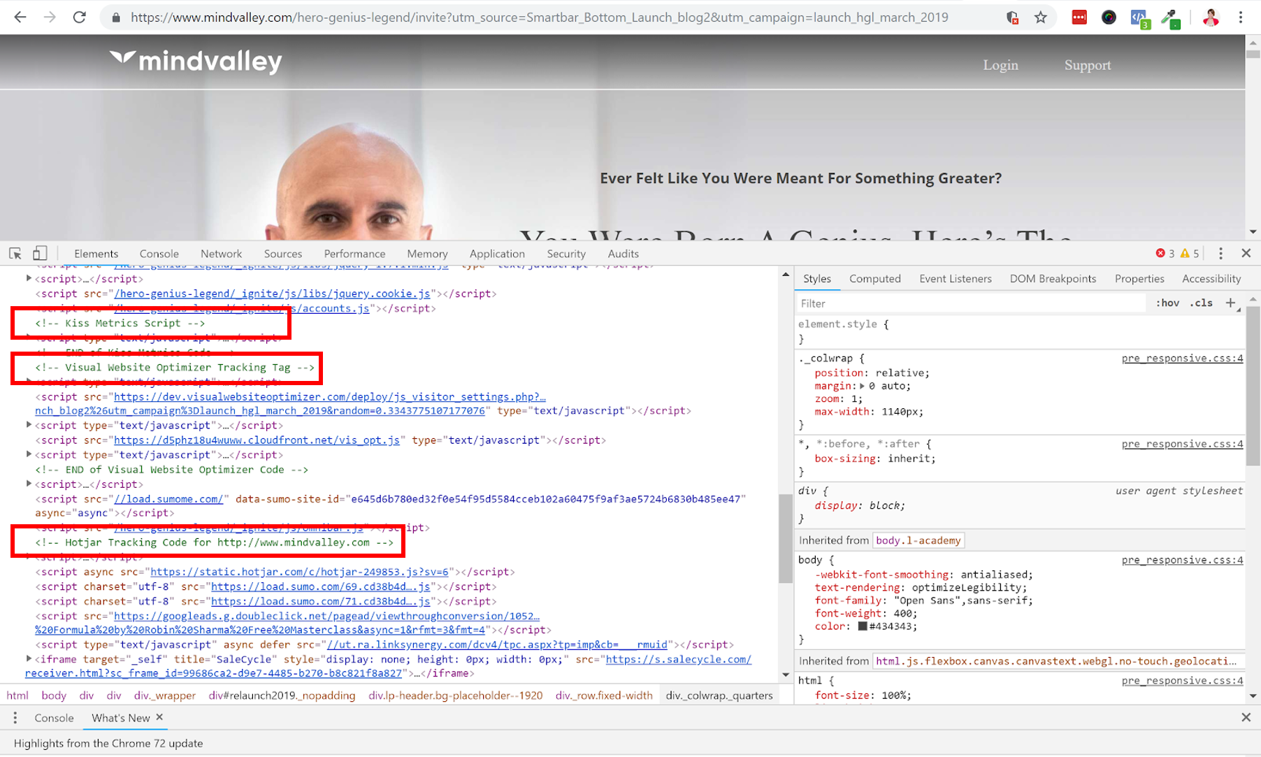 Inspect head script
