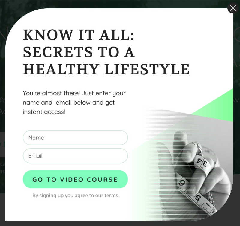Thrive-Leads-Lightbox-Segmentation-Strategy-lead-gen-form-optimized Thrive Leads multi-state lightbox lead segmentation opt-in form step