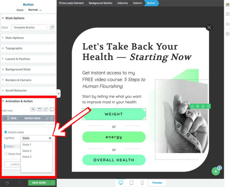 Thrive-Leads-Lightbox-Segmentation-Switch-State-Setup-optimized Assign each of your special interest lead segmentation categories to the corresponding lightbox opt-in form state you set up for it