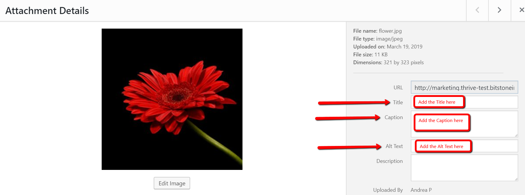 image_attributes