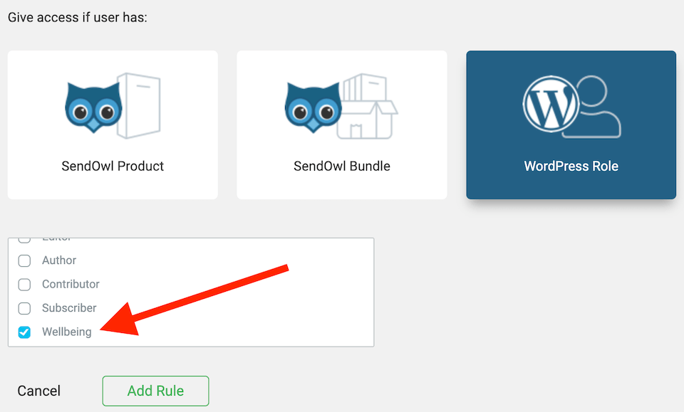 Custom WP Role Access