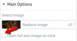 checkbox