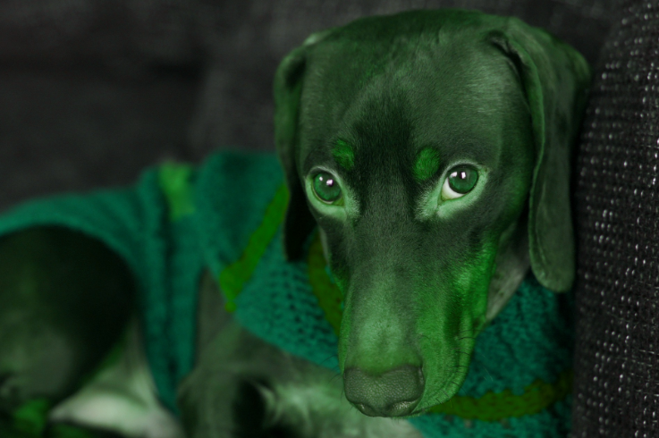 hue-rotate-green