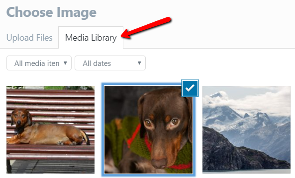 media-library