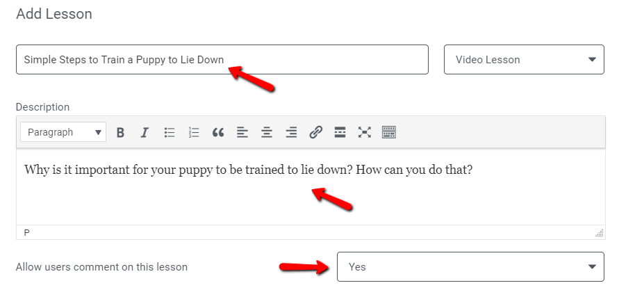video-lesson